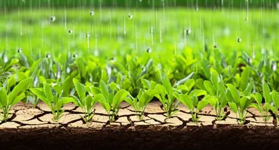 Illustration sops - Image 1