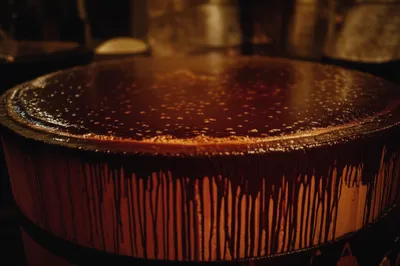 Illustration tun - Image 1