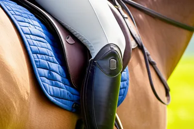 Illustration twisters - Image 1