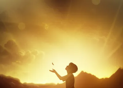 Illustration motive - Image 1