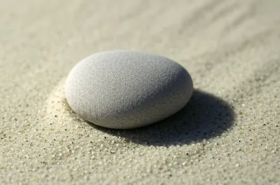 Illustration bob - Image 1