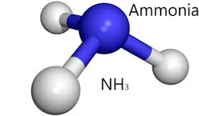 Illustration ammonia - Image 2