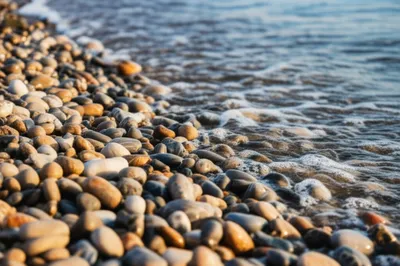 Illustration beach - Image 1