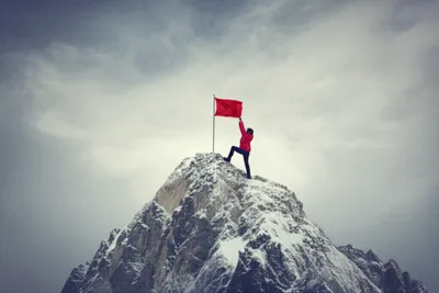 Illustration undertaken - Image 1