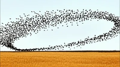 Illustration milled - Image 1