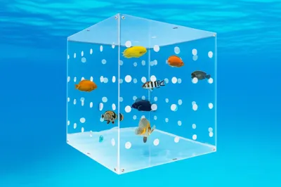 Illustration carrs - Image 1