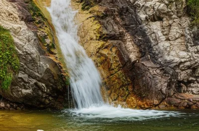 Illustration gushes - Image 1