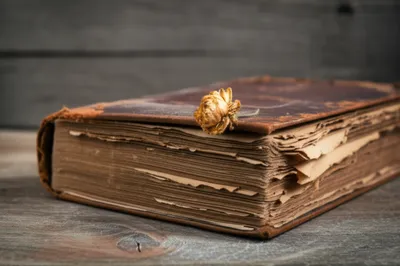 Illustration oldest - Image 1