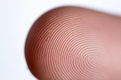 Illustration fingertips