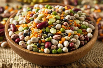 Illustration dal - Image 1