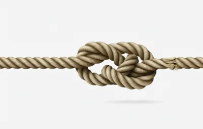 Illustration reductions - Image 1