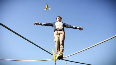 Illustration blunders - Image 1