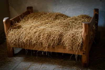 Illustration paillasses - Image 1