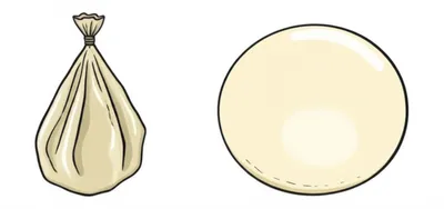 Illustration bladder - Image 1