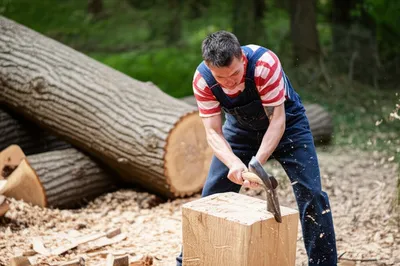 Illustration hew - Image 1