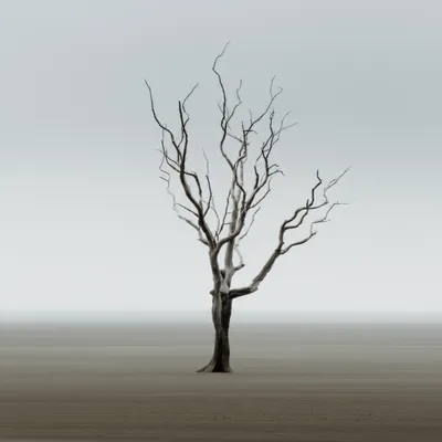 Illustration severe - Image 1