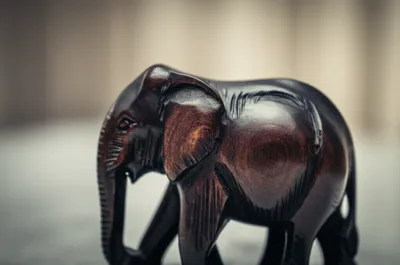 Illustration ebony - Image 1