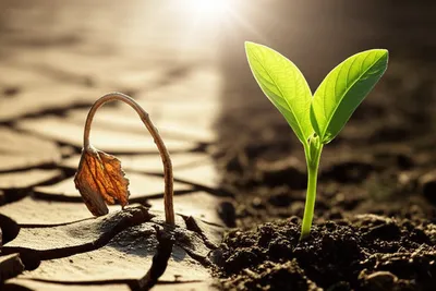 Illustration malnutrition