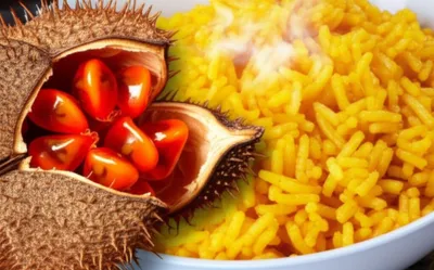 Illustration achiote - Image 2