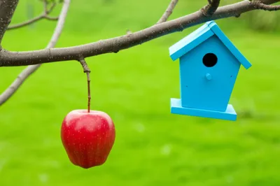 Illustration orthogonal - Image 1