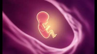 Illustration prenatal - Image 1