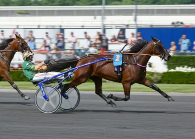 Illustration sulky - Image 1