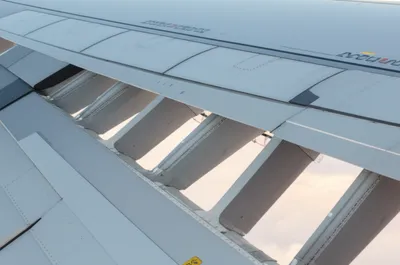 Illustration rib - Image 1