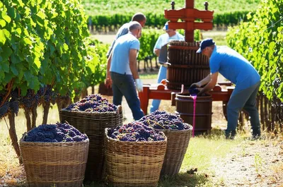 Illustration vintage - Image 1