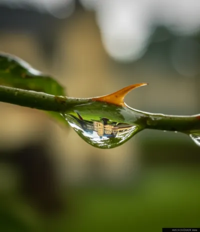 Illustration epigrammatic