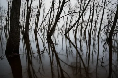 Illustration slant - Image 1