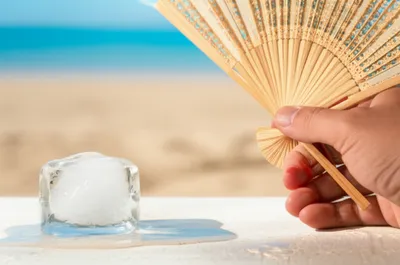 Illustration prolongation