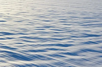 Illustration sheets - Image 1