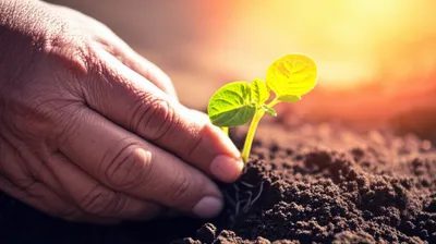 Illustration trusted - Image 1