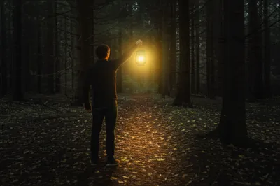 Illustration signified - Image 1