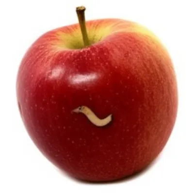 Illustration measles - Image 1