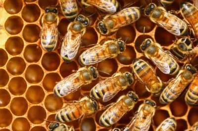 Hình ảnh minh họa washboard - Ảnh 1