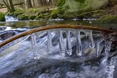 Illustration thaw - Image 2