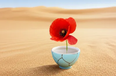 Illustration str - Image 1