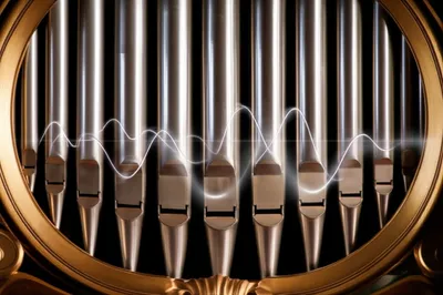 Illustration labial - Image 1