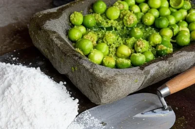 Illustration sours - Image 1