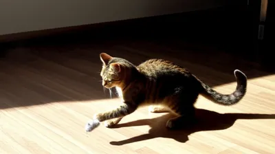 Illustration toying - Image 1