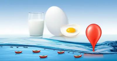 Illustration albumin