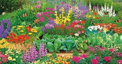 Illustration gardens - Image 1