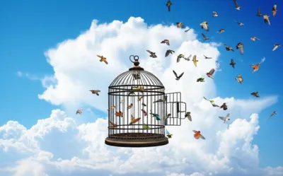 Illustration enlargement - Image 1