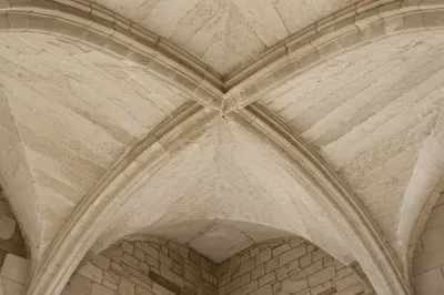 Illustration groined - Image 1