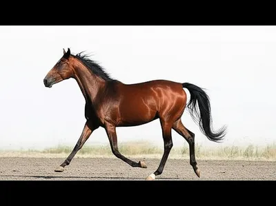 Illustration racked - Image 1