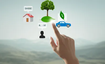 Illustration determiners