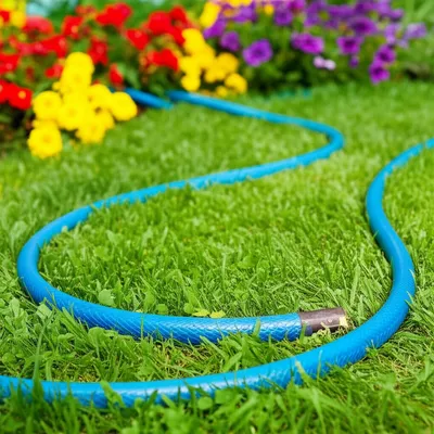 Illustration lines - Image 1