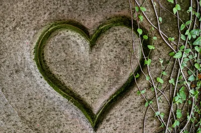 Illustration indelible - Image 1