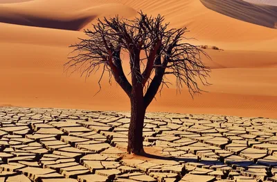 Illustration inflexibility